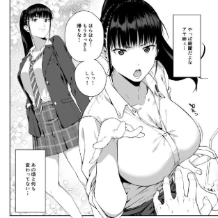 蚊帳の外