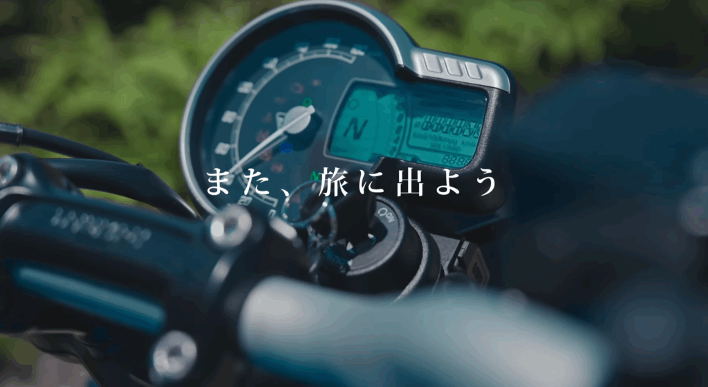 風雨来記5