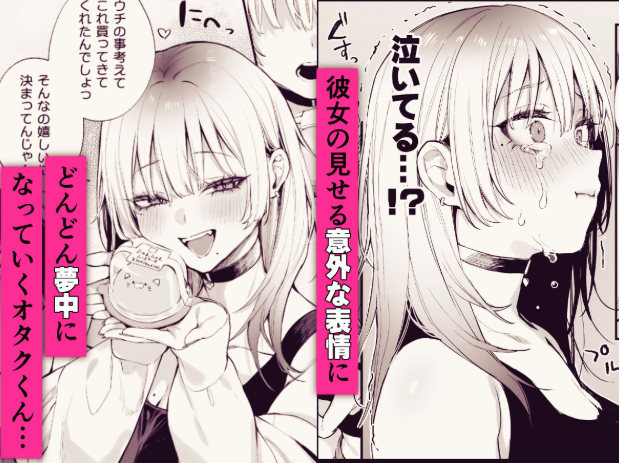 一晩泊めてよ、オタクくん