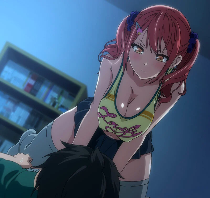 OVAシスターブリーダー ＃2